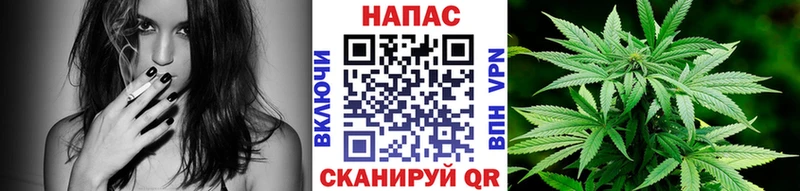 Купить закладку Бийск Каннабис А ПВП Гашиш MDMA Меф мяу мяу