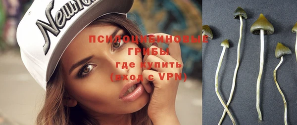бошки Надым