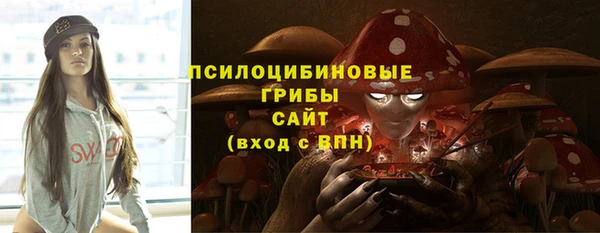 гашик Наволоки