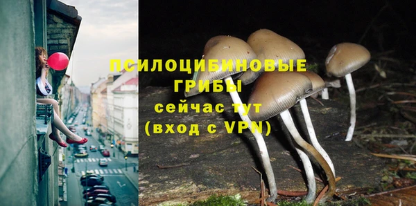тгк Нефтегорск
