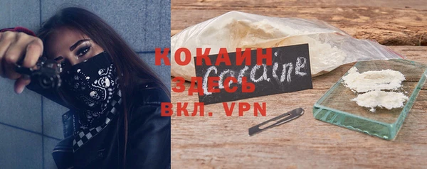 бошки Надым