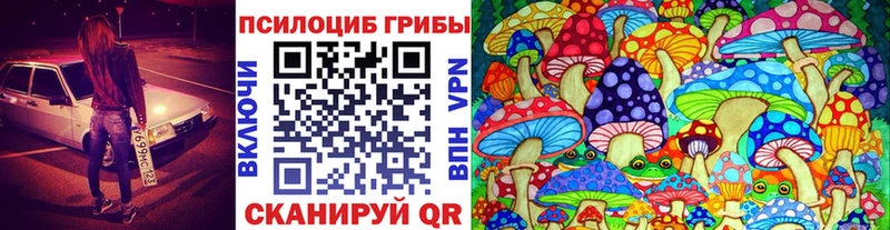 Галлюциногенные грибы MAGIC MUSHROOMS  сколько стоит  Бийск 
