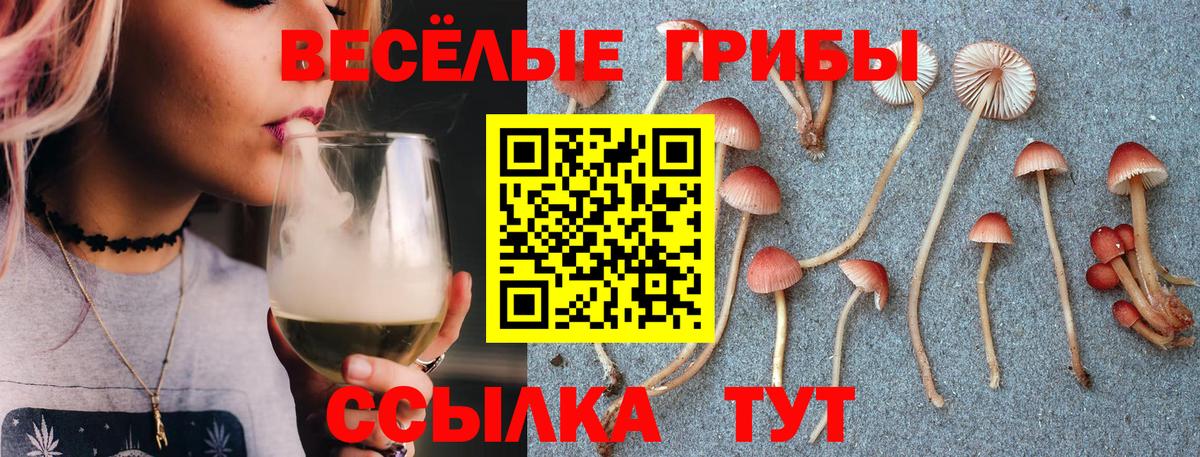 Бийск  Псилоцибиновые грибы Psilocybe  Вход с VPN  Галлюциногенные грибы ЛСД 