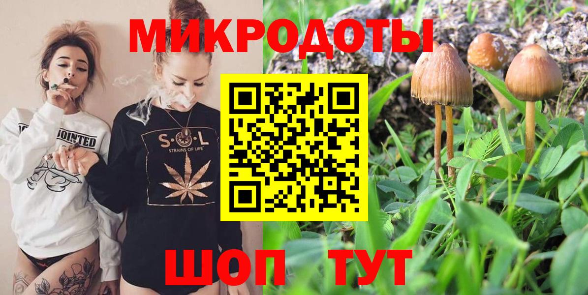 Псилоцибиновые грибы мухоморы Бийск