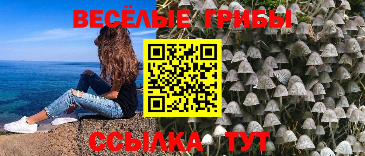 Галлюциногенные грибы прущие грибы  наркота  Бийск 